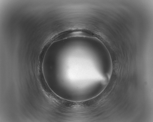 X0000067890544200604171340