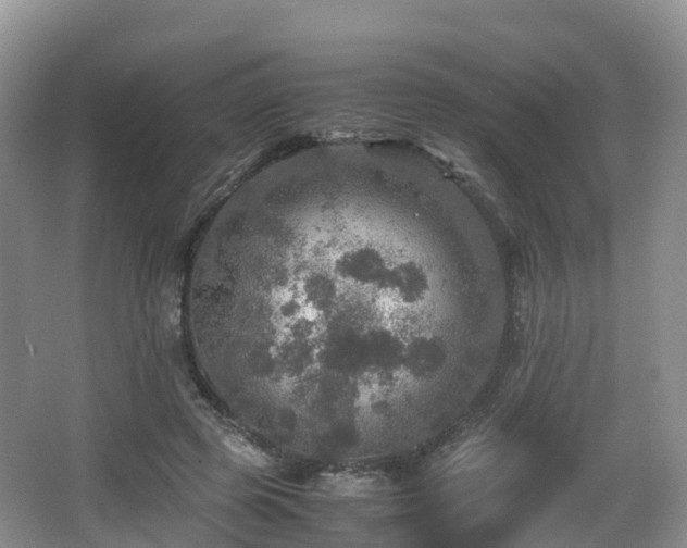 X0000067890545200604171340