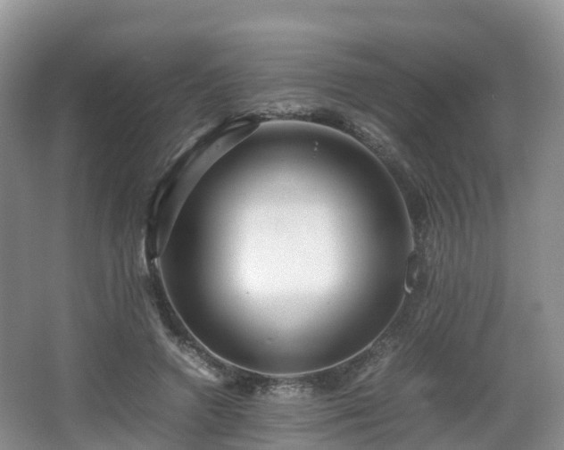 X0000067890546200604171340