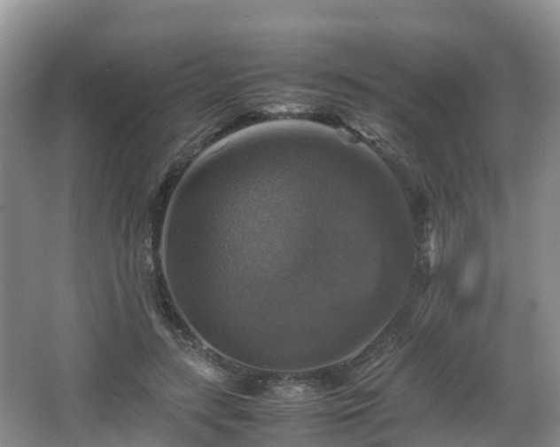 X0000067890547200604171340