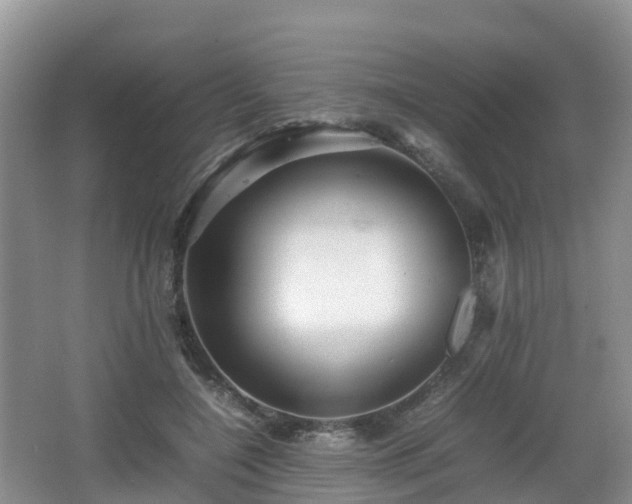 X0000067890548200604171340