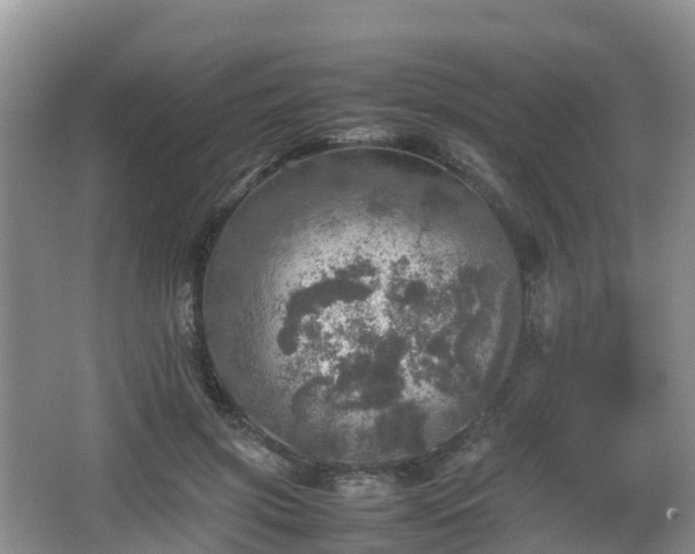 X0000067890549200604171340