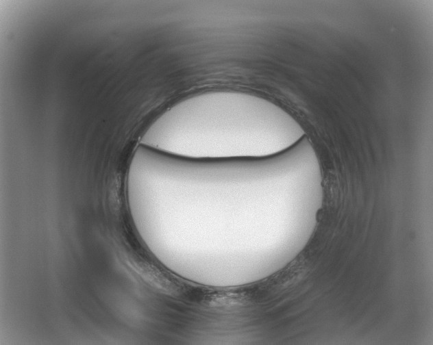 X0000067890550200604171340