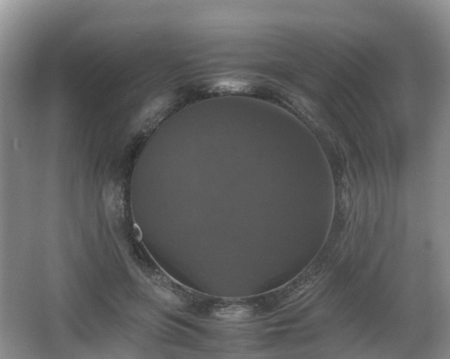 X0000067890551200604171340