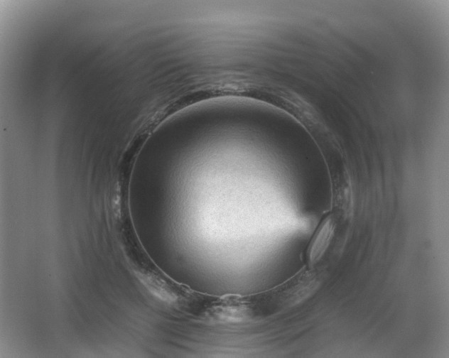 X0000067890552200604171340