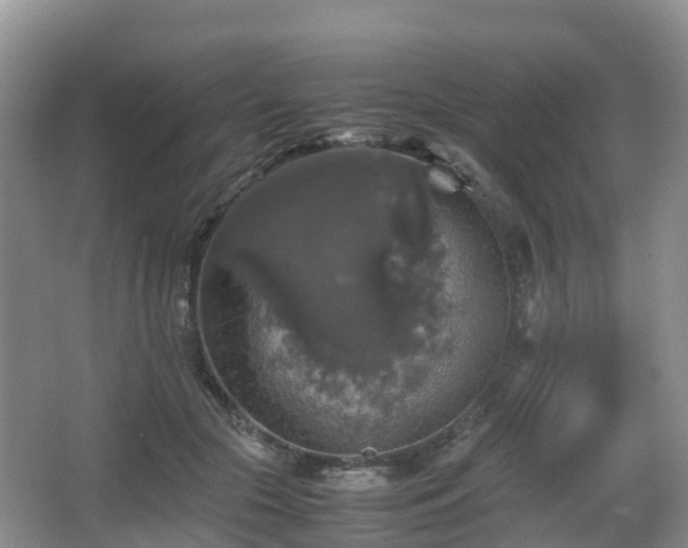 X0000067890553200604171340