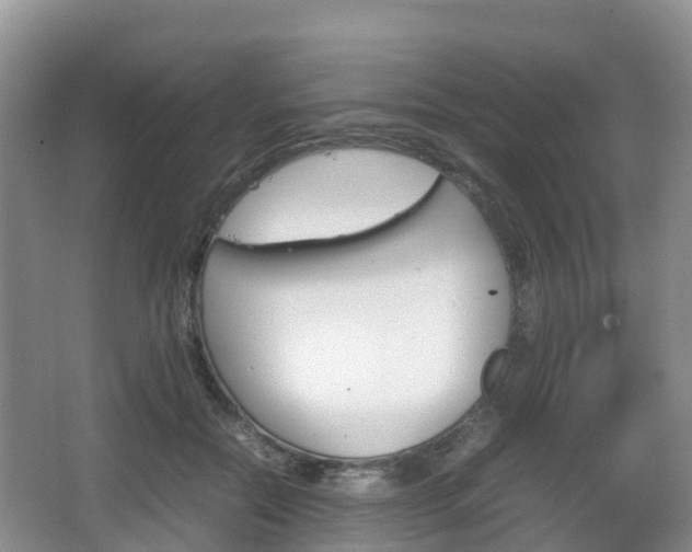 X0000067890554200604171340