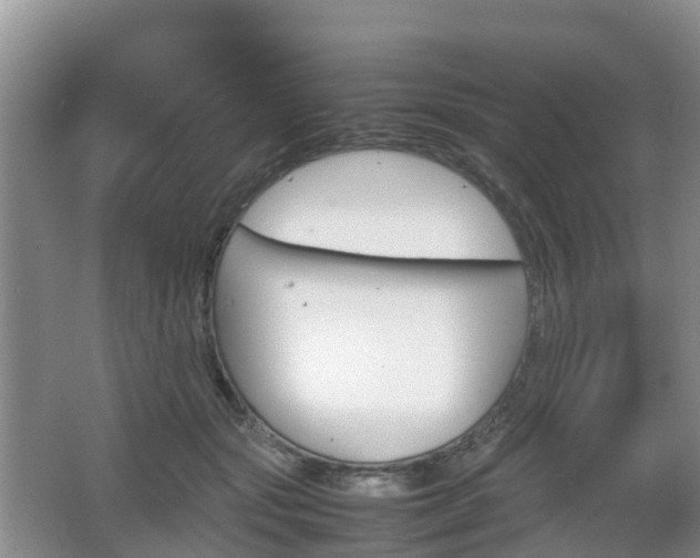 X0000067890557200604171340