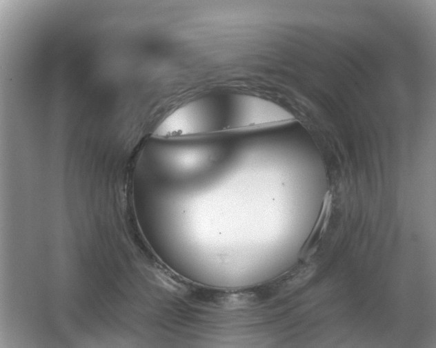 X0000067890558200604171340