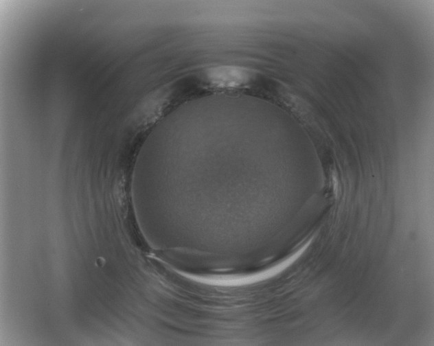 X0000067890559200604171340