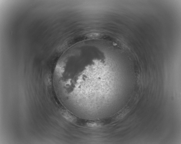 X0000067890561200604171340