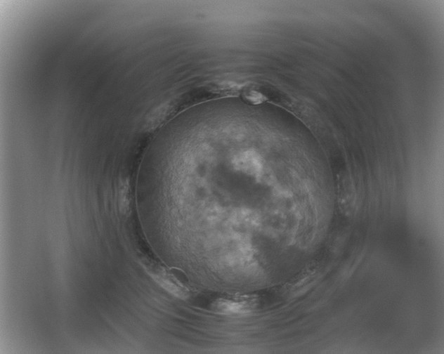 X0000067890563200604171340