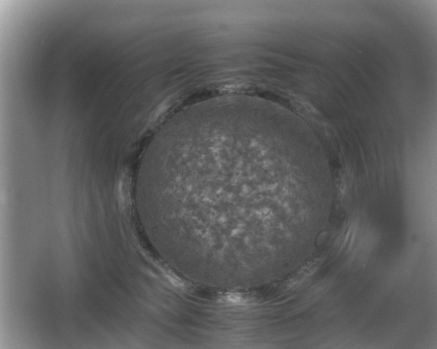 X0000067890565200604171340