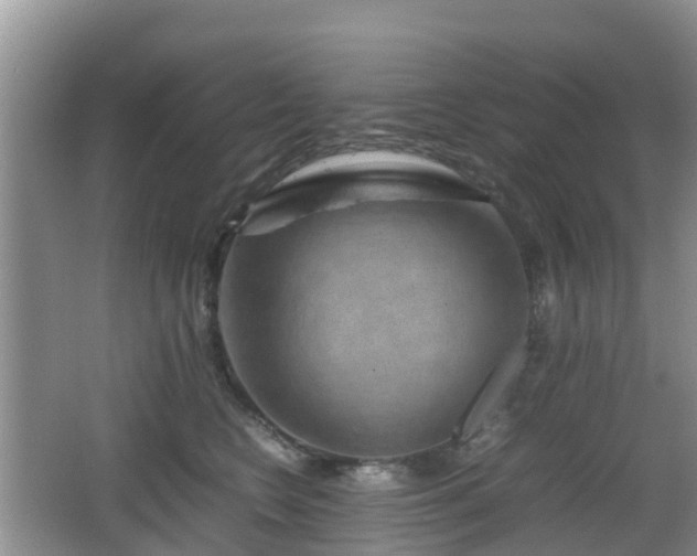 X0000067890566200604171340