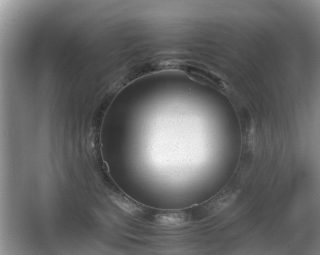 X0000067890567200604171340