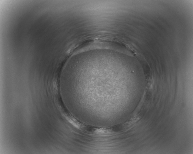 X0000067890568200604171340