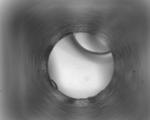 X0000067890571200604171340