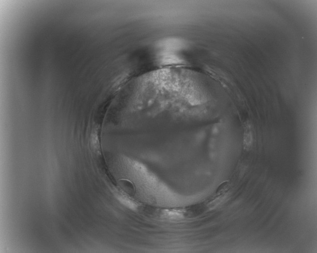 X0000067890573200604171340