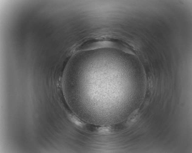 X0000067890574200604171340