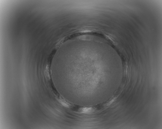 X0000067890575200604171340