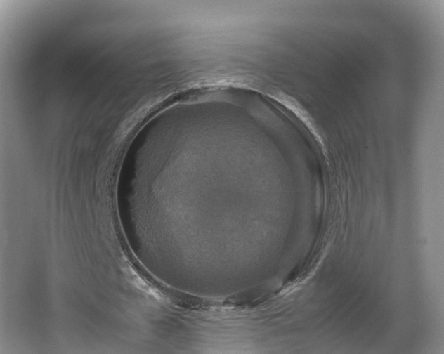 X0000067890577200604171339