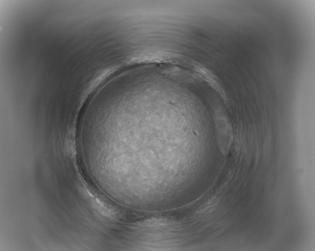 X0000067890578200604171339