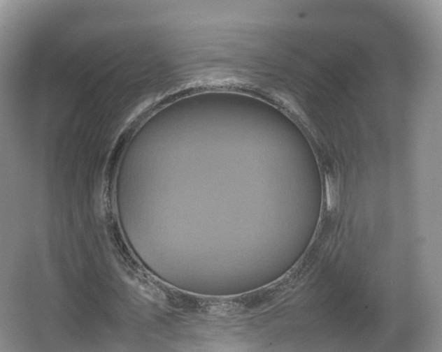 X0000067890579200604171339