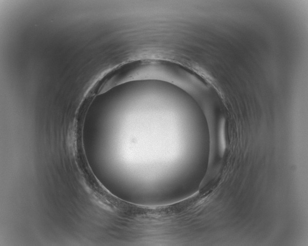 X0000067890580200604171339