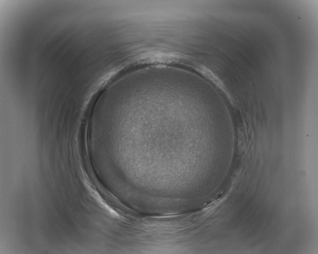 X0000067890581200604171339