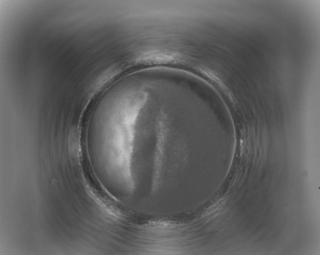 X0000067890582200604171339