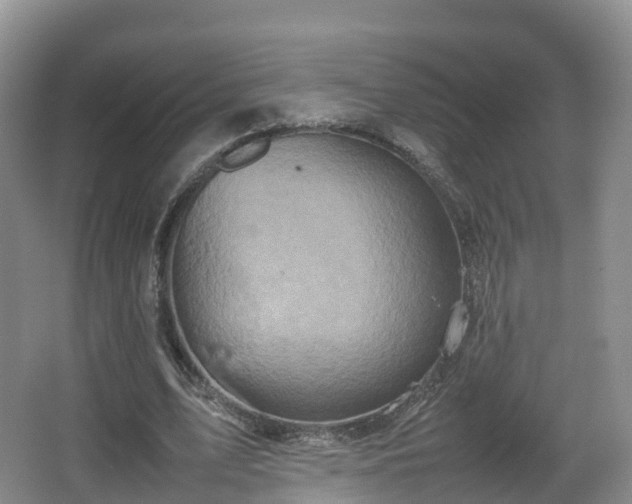 X0000067890583200604171339