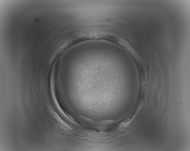 X0000067890585200604171339