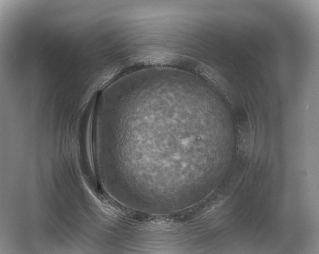 X0000067890586200604171339