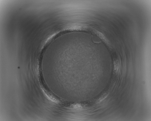 X0000067890588200604171339