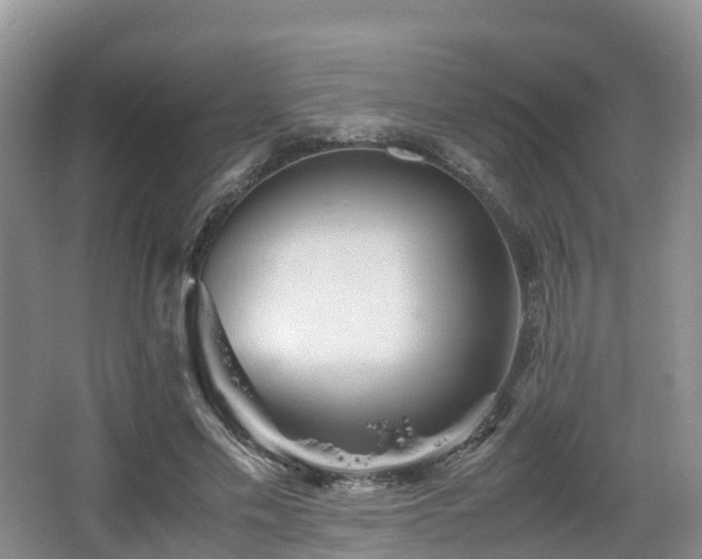 X0000067890589200604171339