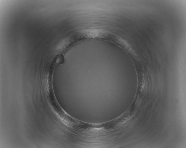 X0000067890590200604171339