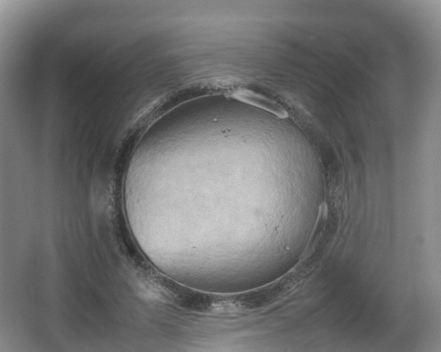 X0000067890591200604171339