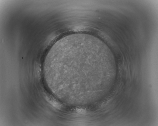 X0000067890592200604171339