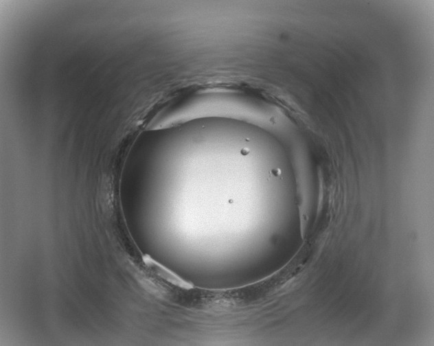 X0000067890593200604171339