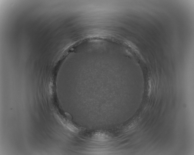 X0000067890596200604171339