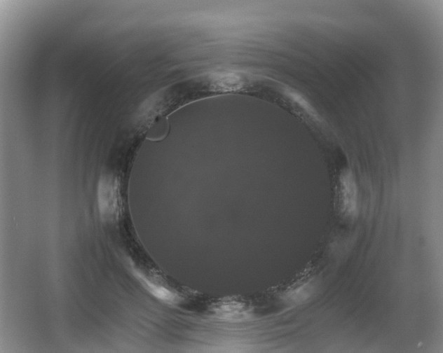 X0000067890598200604171339