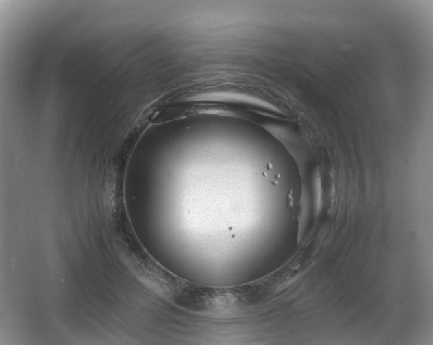 X0000067890600200604171339