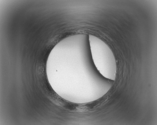 X0000067890603200604171339