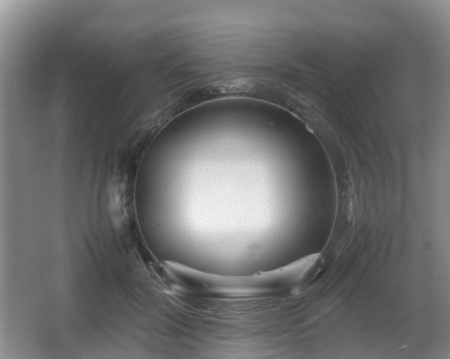 X0000067890604200604171339