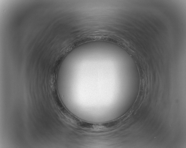 X0000067890605200604171339