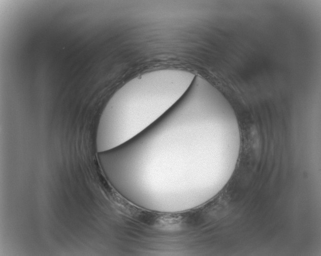 X0000067890606200604171339