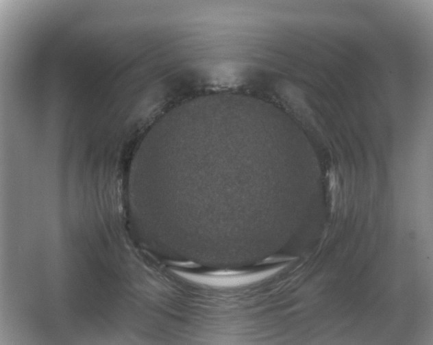 X0000067890608200604171339