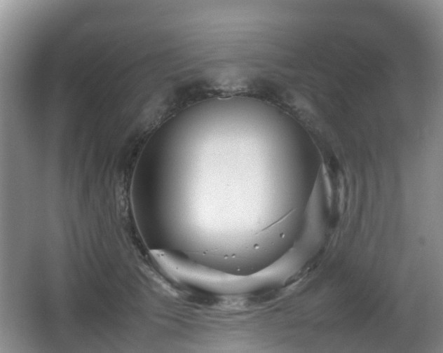 X0000067890609200604171339