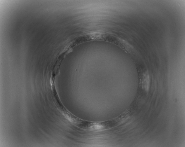 X0000067890610200604171339