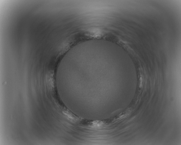 X0000067890612200604171339